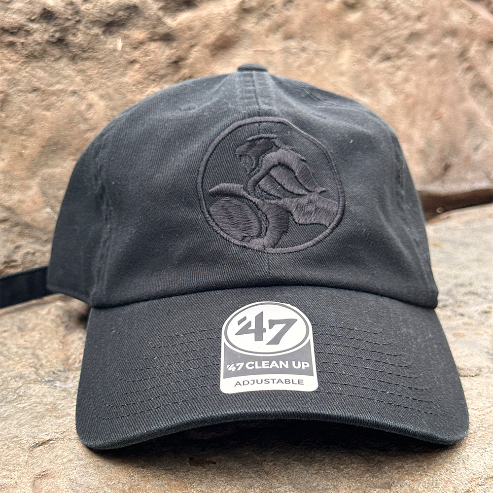 HOLDEN LOGO BLACK/BLACK DAD CAP