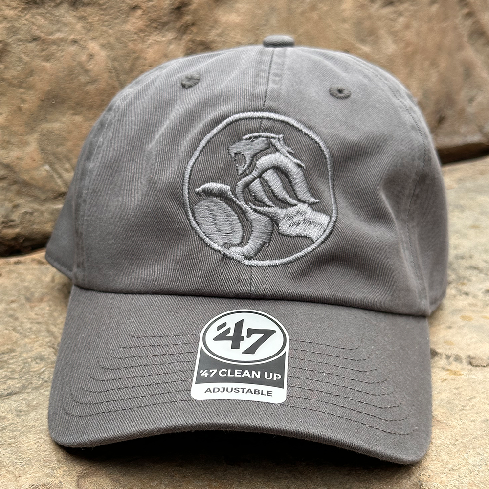 HOLDEN LOGO GREY DAD CAP