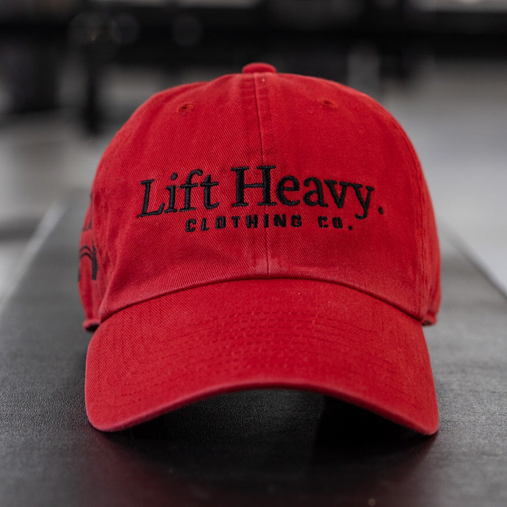BRANDED DAD CAP (47 BRAND)
